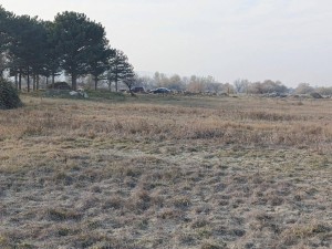 იყიდება მიწა ქალაქ კასპში